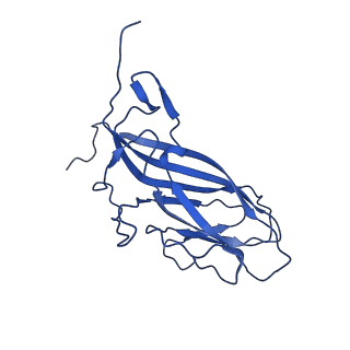 20113_6ola_Ao_v1-2
Structure of the PCV2d virus-like particle