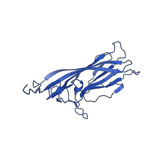 20113_6ola_Ap_v1-2
Structure of the PCV2d virus-like particle