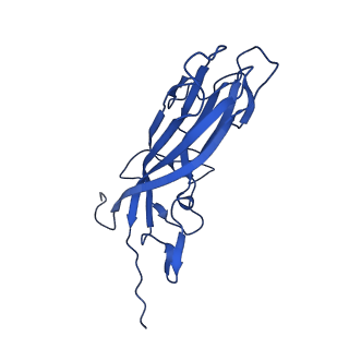 20113_6ola_Aq_v1-1
Structure of the PCV2d virus-like particle