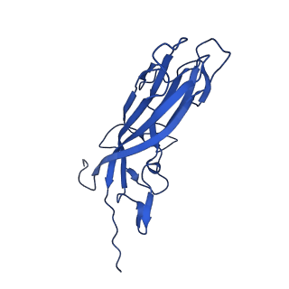 20113_6ola_Aq_v1-2
Structure of the PCV2d virus-like particle