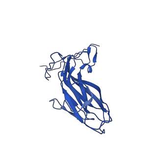 20113_6ola_As_v1-1
Structure of the PCV2d virus-like particle