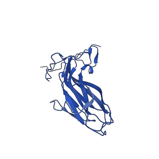 20113_6ola_As_v1-2
Structure of the PCV2d virus-like particle