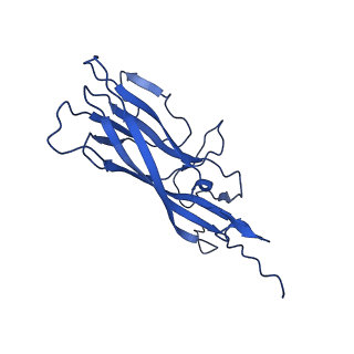 20113_6ola_At_v1-1
Structure of the PCV2d virus-like particle