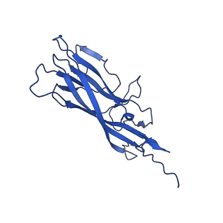 20113_6ola_At_v1-2
Structure of the PCV2d virus-like particle