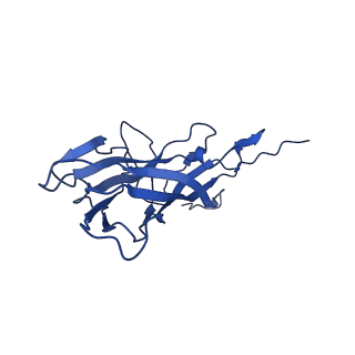 20113_6ola_Au_v1-1
Structure of the PCV2d virus-like particle