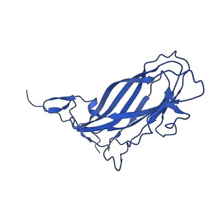 20113_6ola_Aw_v1-2
Structure of the PCV2d virus-like particle