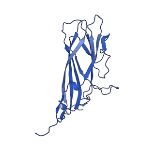 20113_6ola_Ax_v1-2
Structure of the PCV2d virus-like particle