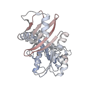 20116_6oll_A_v1-3
CryoEM structure of PilT4 from Geobacter metallireducens without adding nucleotide: C2oocooc conformation