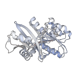 20117_6olm_A_v1-3
CryoEM structure of PilT4 from Geobacter metallireducens with added ATP: C6cccccc conformation