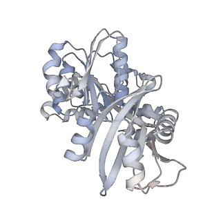 20117_6olm_C_v1-3
CryoEM structure of PilT4 from Geobacter metallireducens with added ATP: C6cccccc conformation