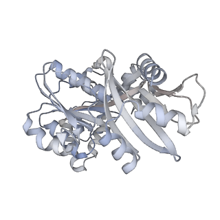 20117_6olm_D_v1-2
CryoEM structure of PilT4 from Geobacter metallireducens with added ATP: C6cccccc conformation