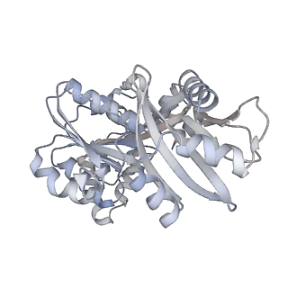 20117_6olm_D_v1-3
CryoEM structure of PilT4 from Geobacter metallireducens with added ATP: C6cccccc conformation