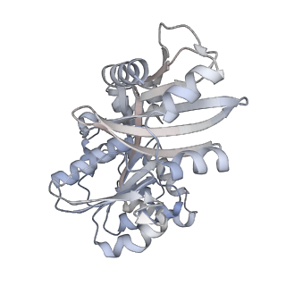 20117_6olm_E_v1-3
CryoEM structure of PilT4 from Geobacter metallireducens with added ATP: C6cccccc conformation