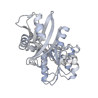 20117_6olm_F_v1-2
CryoEM structure of PilT4 from Geobacter metallireducens with added ATP: C6cccccc conformation