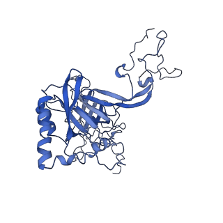 0596_6om0_B_v1-1
Human ribosome nascent chain complex (PCSK9-RNC) stalled by a drug-like molecule with AP and PE tRNAs