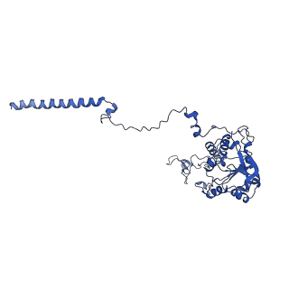 0596_6om0_C_v1-1
Human ribosome nascent chain complex (PCSK9-RNC) stalled by a drug-like molecule with AP and PE tRNAs