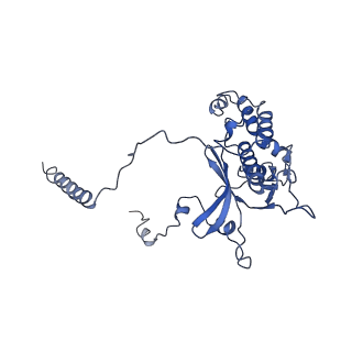 0596_6om0_F_v1-1
Human ribosome nascent chain complex (PCSK9-RNC) stalled by a drug-like molecule with AP and PE tRNAs