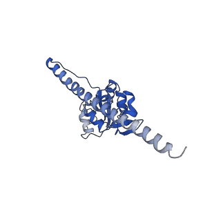 0596_6om0_H_v1-1
Human ribosome nascent chain complex (PCSK9-RNC) stalled by a drug-like molecule with AP and PE tRNAs