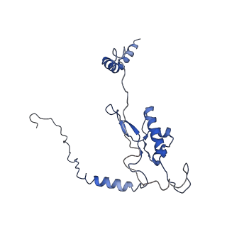 0596_6om0_M_v1-1
Human ribosome nascent chain complex (PCSK9-RNC) stalled by a drug-like molecule with AP and PE tRNAs