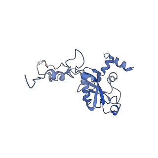 0596_6om0_O_v1-1
Human ribosome nascent chain complex (PCSK9-RNC) stalled by a drug-like molecule with AP and PE tRNAs
