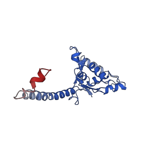 0596_6om0_P_v1-1
Human ribosome nascent chain complex (PCSK9-RNC) stalled by a drug-like molecule with AP and PE tRNAs