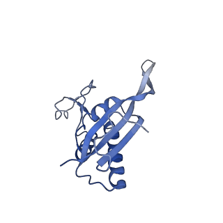0596_6om0_Q_v1-1
Human ribosome nascent chain complex (PCSK9-RNC) stalled by a drug-like molecule with AP and PE tRNAs