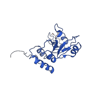 0596_6om0_R_v1-1
Human ribosome nascent chain complex (PCSK9-RNC) stalled by a drug-like molecule with AP and PE tRNAs
