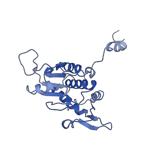 0596_6om0_SA_v1-1
Human ribosome nascent chain complex (PCSK9-RNC) stalled by a drug-like molecule with AP and PE tRNAs