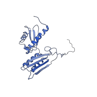 0596_6om0_SD_v1-1
Human ribosome nascent chain complex (PCSK9-RNC) stalled by a drug-like molecule with AP and PE tRNAs