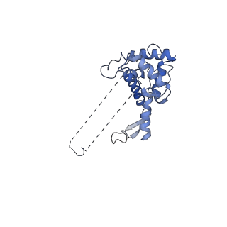 0596_6om0_SF_v1-1
Human ribosome nascent chain complex (PCSK9-RNC) stalled by a drug-like molecule with AP and PE tRNAs