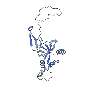0596_6om0_SI_v1-1
Human ribosome nascent chain complex (PCSK9-RNC) stalled by a drug-like molecule with AP and PE tRNAs