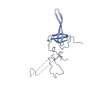 0596_6om0_SL_v1-1
Human ribosome nascent chain complex (PCSK9-RNC) stalled by a drug-like molecule with AP and PE tRNAs