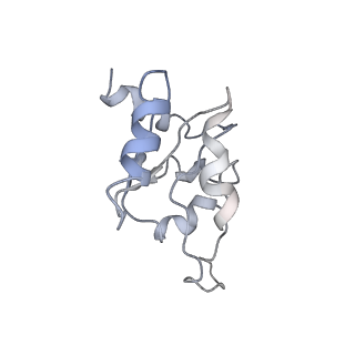 0596_6om0_SM_v1-1
Human ribosome nascent chain complex (PCSK9-RNC) stalled by a drug-like molecule with AP and PE tRNAs
