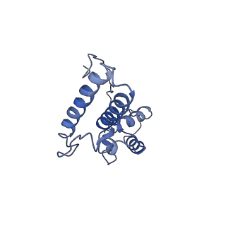 0596_6om0_SN_v1-1
Human ribosome nascent chain complex (PCSK9-RNC) stalled by a drug-like molecule with AP and PE tRNAs