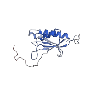 0596_6om0_SO_v1-1
Human ribosome nascent chain complex (PCSK9-RNC) stalled by a drug-like molecule with AP and PE tRNAs