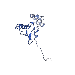 0596_6om0_SP_v1-1
Human ribosome nascent chain complex (PCSK9-RNC) stalled by a drug-like molecule with AP and PE tRNAs