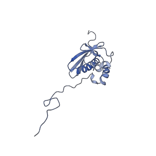 0596_6om0_SQ_v1-1
Human ribosome nascent chain complex (PCSK9-RNC) stalled by a drug-like molecule with AP and PE tRNAs