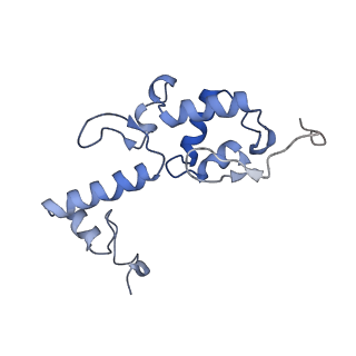 0596_6om0_SS_v1-1
Human ribosome nascent chain complex (PCSK9-RNC) stalled by a drug-like molecule with AP and PE tRNAs