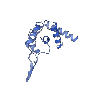 0596_6om0_ST_v1-1
Human ribosome nascent chain complex (PCSK9-RNC) stalled by a drug-like molecule with AP and PE tRNAs