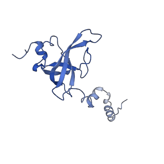 0596_6om0_SX_v1-1
Human ribosome nascent chain complex (PCSK9-RNC) stalled by a drug-like molecule with AP and PE tRNAs