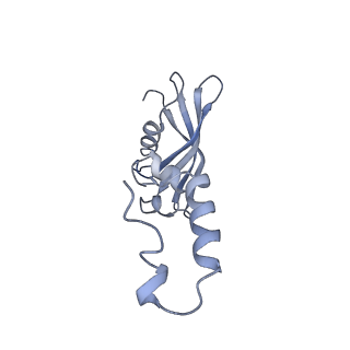 0596_6om0_SY_v1-1
Human ribosome nascent chain complex (PCSK9-RNC) stalled by a drug-like molecule with AP and PE tRNAs