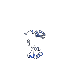 0596_6om0_S_v1-1
Human ribosome nascent chain complex (PCSK9-RNC) stalled by a drug-like molecule with AP and PE tRNAs