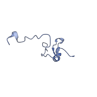 0596_6om0_Sd_v1-1
Human ribosome nascent chain complex (PCSK9-RNC) stalled by a drug-like molecule with AP and PE tRNAs