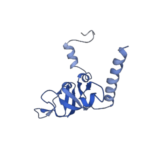 0596_6om0_Z_v1-1
Human ribosome nascent chain complex (PCSK9-RNC) stalled by a drug-like molecule with AP and PE tRNAs