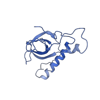 0596_6om0_a_v1-1
Human ribosome nascent chain complex (PCSK9-RNC) stalled by a drug-like molecule with AP and PE tRNAs
