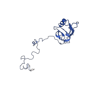 0596_6om0_b_v1-1
Human ribosome nascent chain complex (PCSK9-RNC) stalled by a drug-like molecule with AP and PE tRNAs