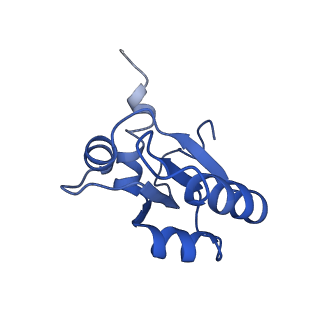 0596_6om0_d_v1-1
Human ribosome nascent chain complex (PCSK9-RNC) stalled by a drug-like molecule with AP and PE tRNAs