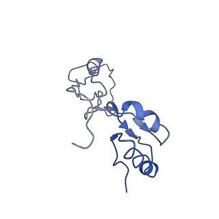 0596_6om0_f_v1-1
Human ribosome nascent chain complex (PCSK9-RNC) stalled by a drug-like molecule with AP and PE tRNAs