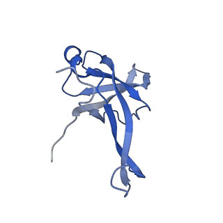 0596_6om0_g_v1-1
Human ribosome nascent chain complex (PCSK9-RNC) stalled by a drug-like molecule with AP and PE tRNAs