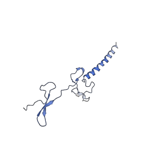 0596_6om0_h_v1-1
Human ribosome nascent chain complex (PCSK9-RNC) stalled by a drug-like molecule with AP and PE tRNAs